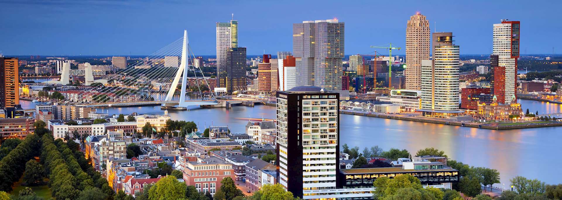Laatste Rotterdam nieuws direct en betrouwbaar gelezen